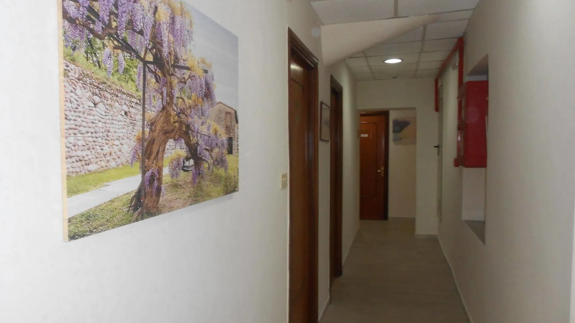 Hotel Concorde Rome 2*,  Italy